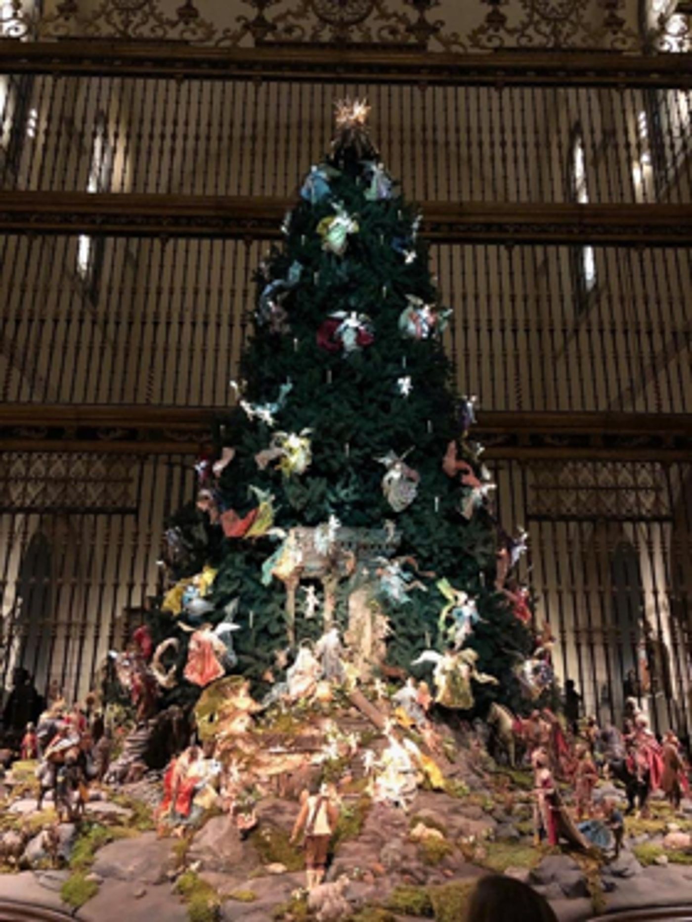 BWW Blog: Final Stretch! BWW Blog: Final Stretch! Image