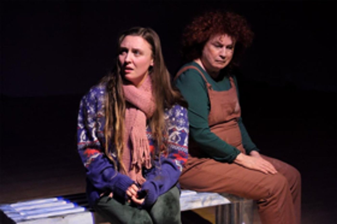 Review: Depression Haunts an Irish Farm in FOUR LAST THINGS, at Corrib Theatre Review: Depression Haunts an Irish Farm in FOUR LAST THINGS, at Corrib Theatre Image