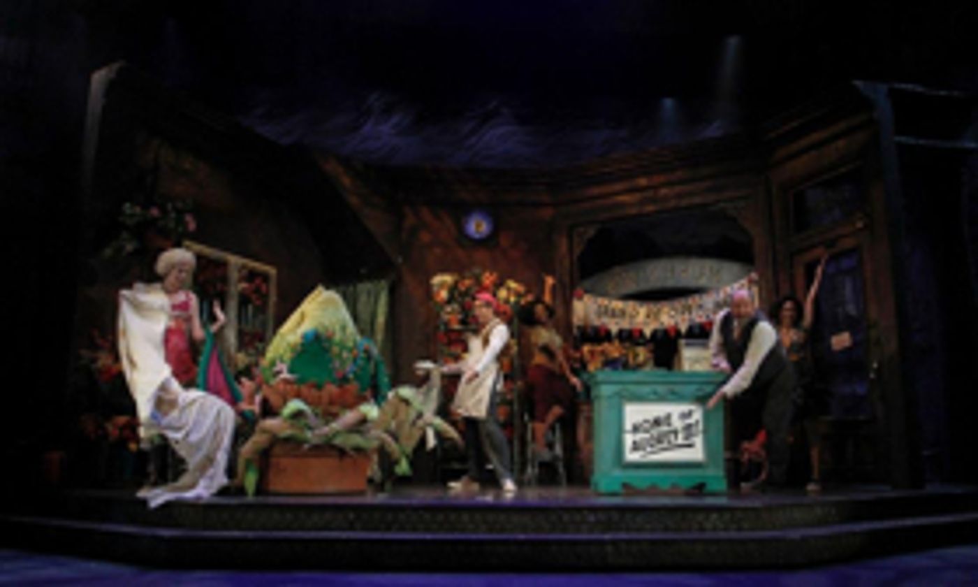 Review: Phoenix Theatre Presents LITTLE SHOP OF HORRORS Review: Phoenix Theatre Presents LITTLE SHOP OF HORRORS Image
