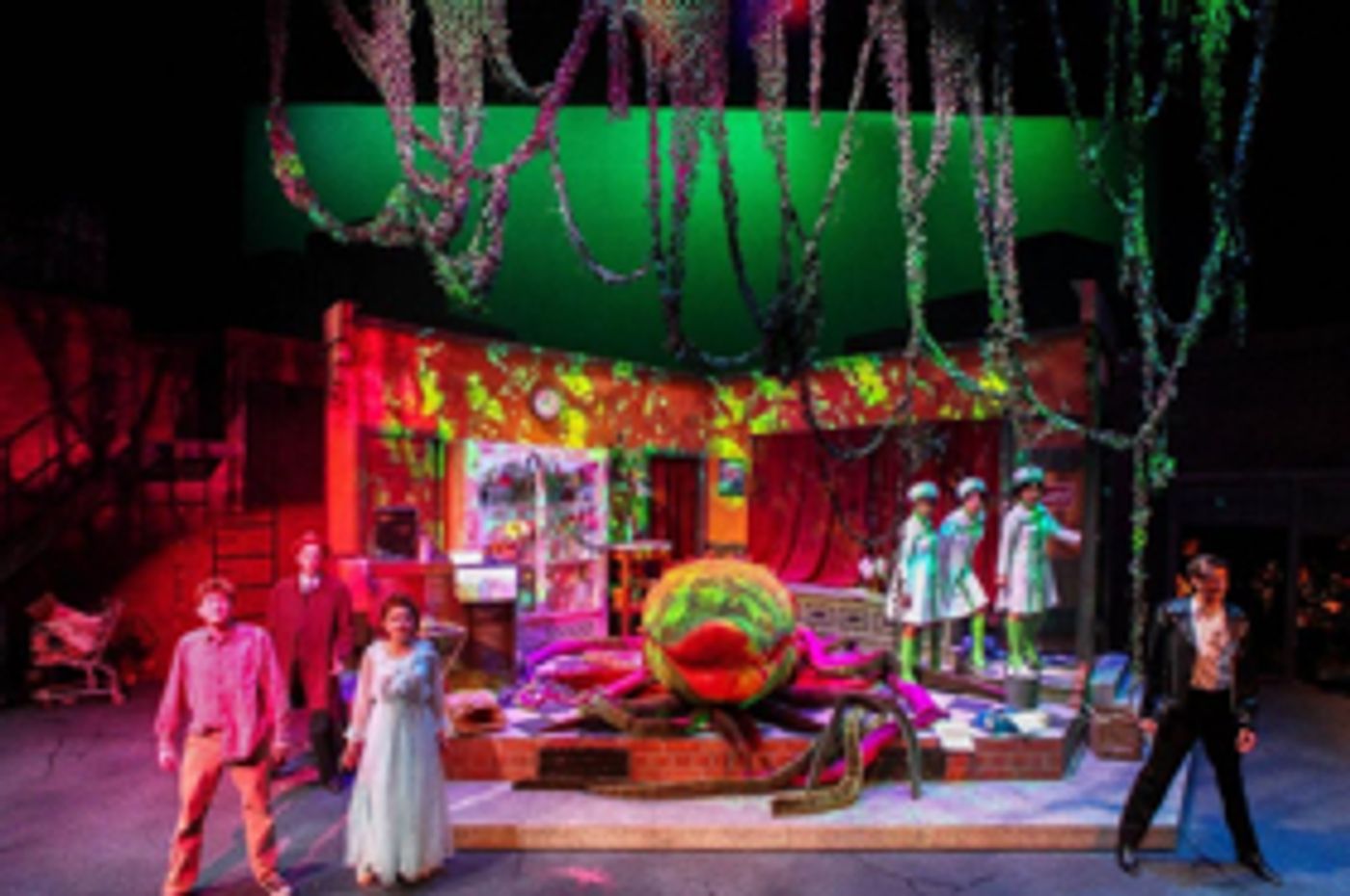 Review: Syracuse University's LITTLE SHOP OF HORRORS is Thrilling at Syracuse Stage  Image