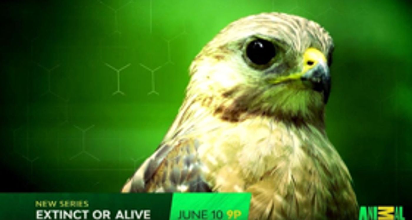 EXTINCT OR ALIVE Premieres on Animal Planet on 6/10 EXTINCT OR ALIVE Premieres on Animal Planet on 6/10 Image