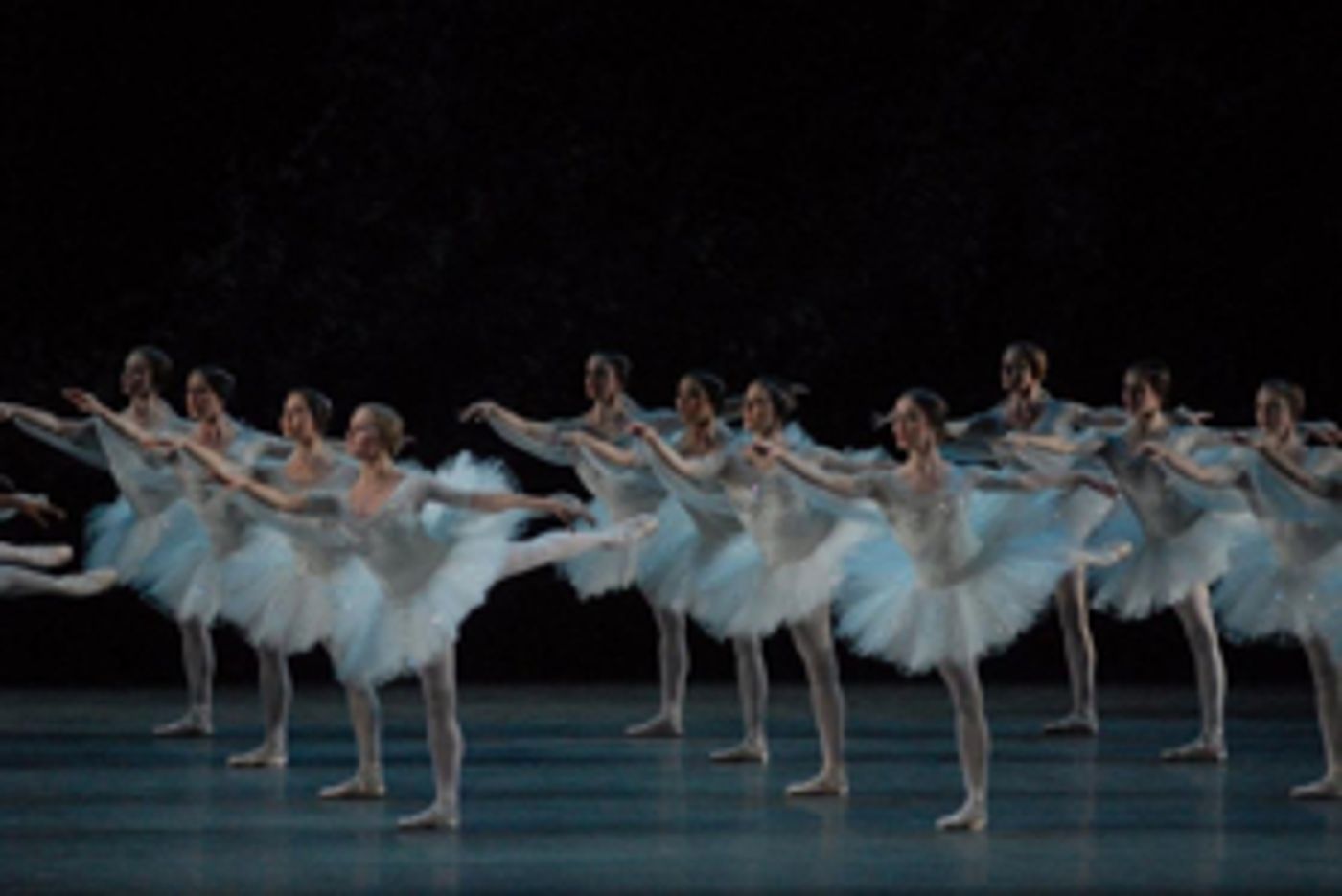 BWW Dance Review: La Bayadère  Image