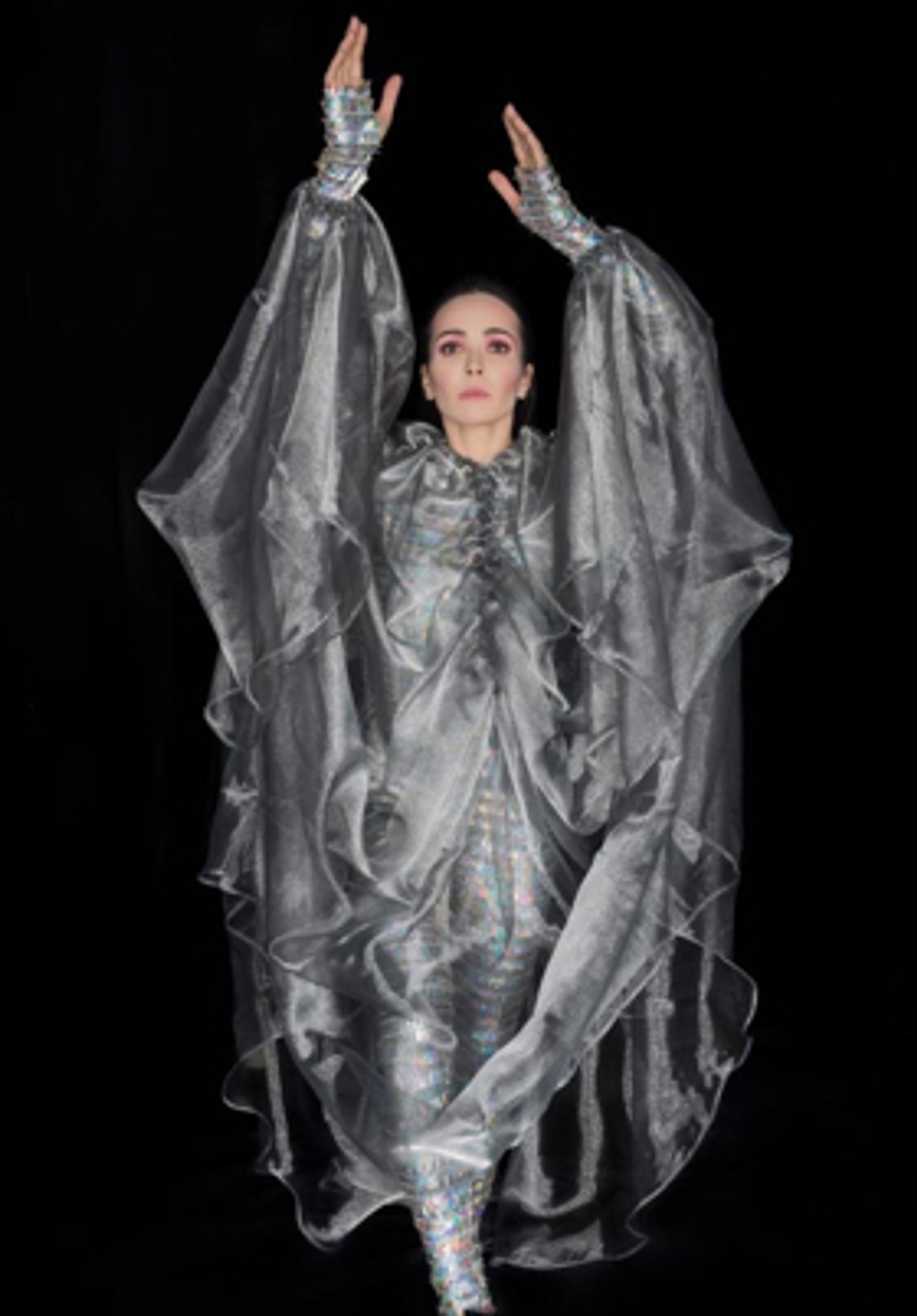 BWW Interview Diana Vishneva Discusses Sleeping Beauty Dreams at Beacon Theatre  Image