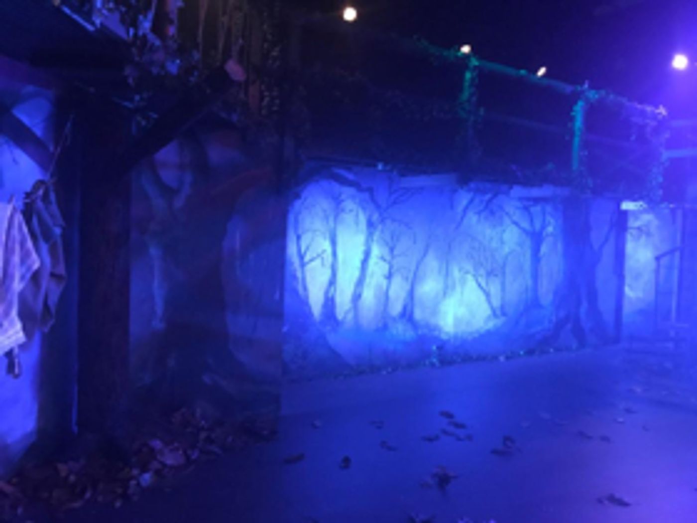 Review: INTO THE WOODS at Off Broadway Papakura Review: INTO THE WOODS at Off Broadway Papakura Image