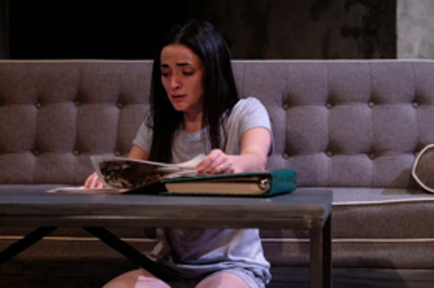 Review: THE ABUELAS at Teatro Vista Review: THE ABUELAS at Teatro Vista Image