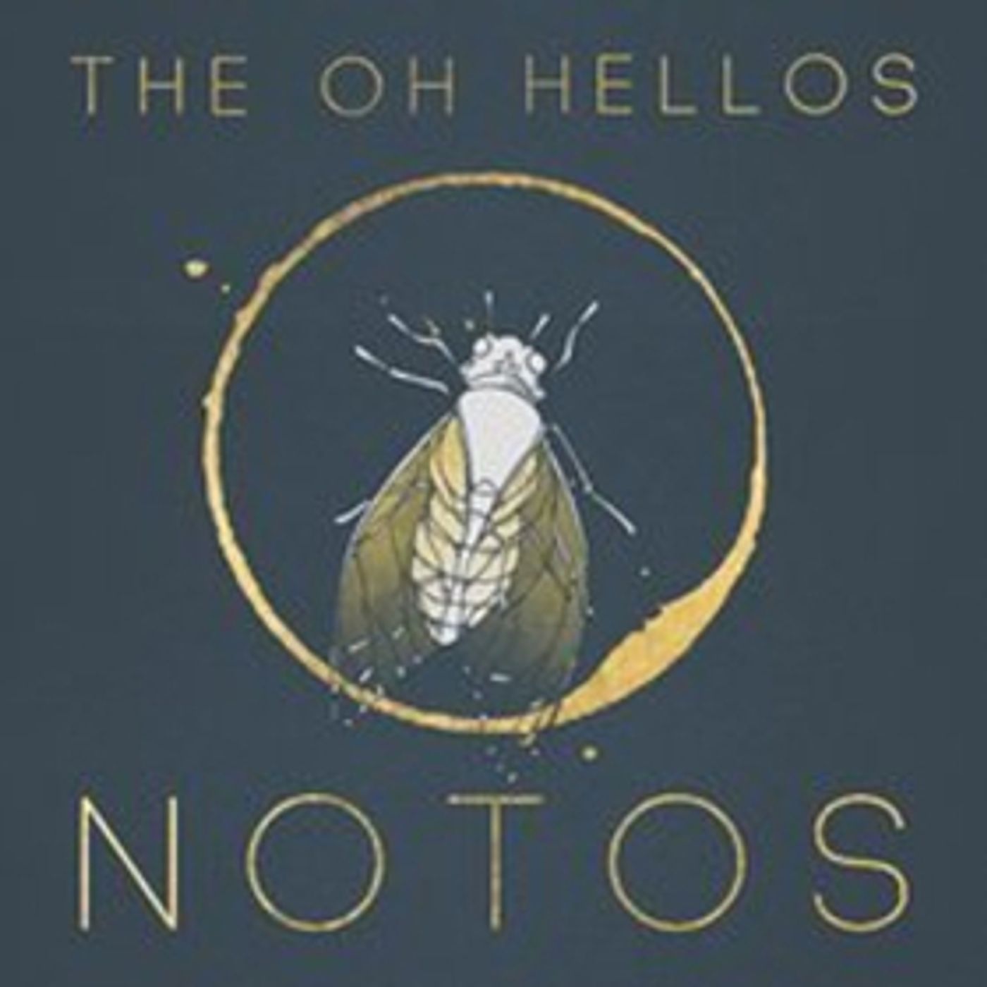 The Oh Hellos Confirm 2018 Tour + New EP 'Notos'  Image