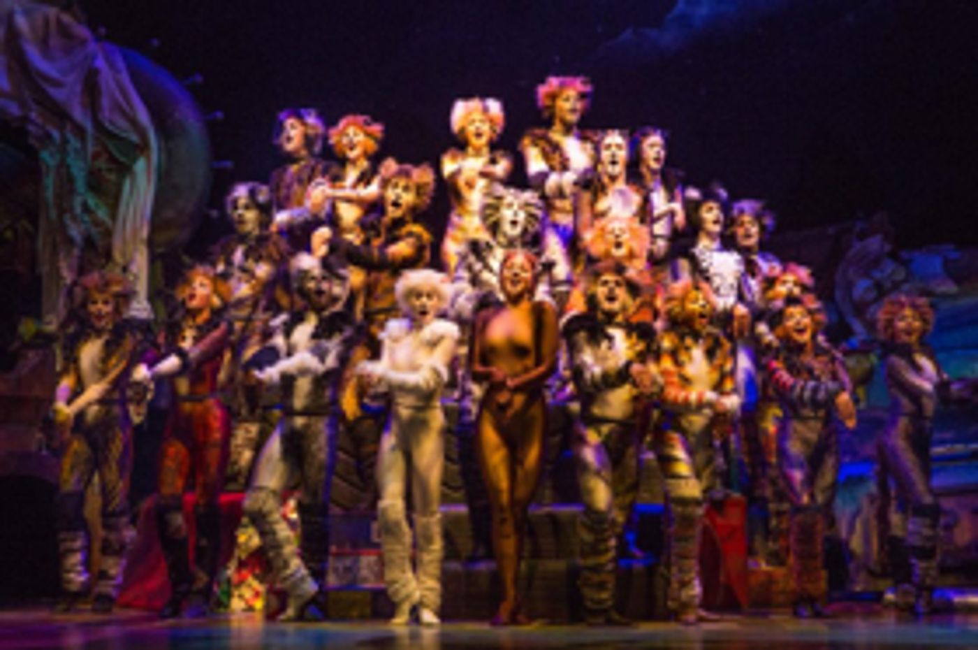 Limited Seats Available for CATS at Walton Arts Center Limited Seats Available for CATS at Walton Arts Center Image