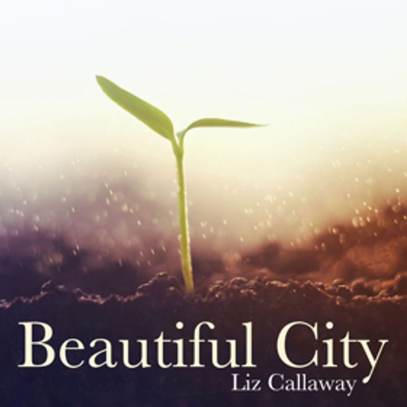 Liz Callaway Releases Single of GODSPELL's 'Beautiful City' Today Liz Callaway Releases Single of GODSPELL's 'Beautiful City' Today Image