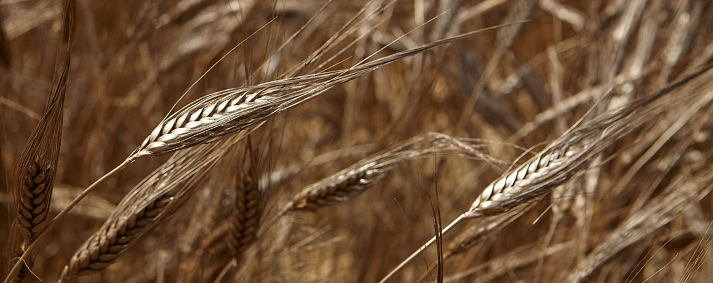 BLES VENDÔME at the Marina Bay Sands Event Plaza BLES VENDÔME at the Marina Bay Sands Event Plaza Image