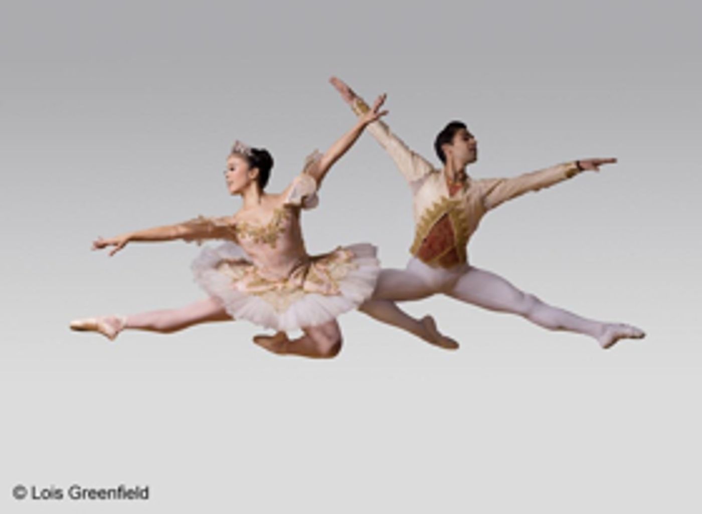 American Repertory Ballet Announces its 55th NUTCRACKER Season American Repertory Ballet Announces its 55th NUTCRACKER Season Image