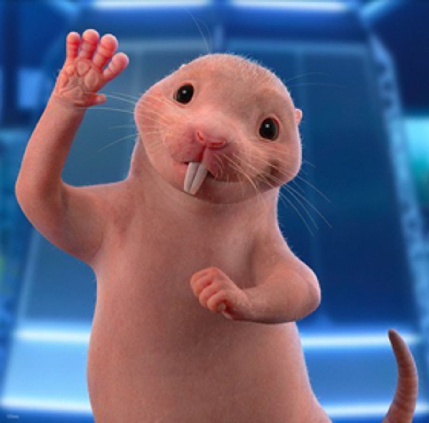 Nancy Cartwright to Reprise Role of Rufus in Live-Action KIM POSSIBLE  Image