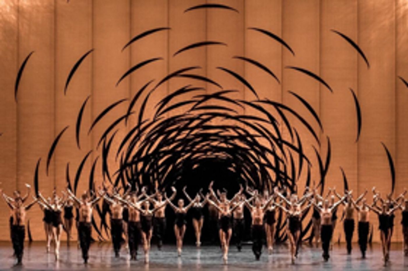 The National Ballet Of Canada Tours To Hamburg, Germany  Image