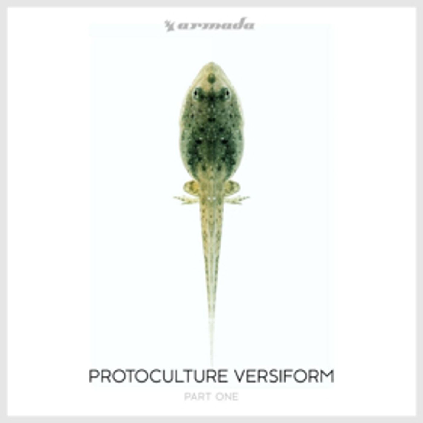 Protocultire Adapts, Evolves, & Thrives in Part One of Fifth Album VERSIFORM, Out Now  Image