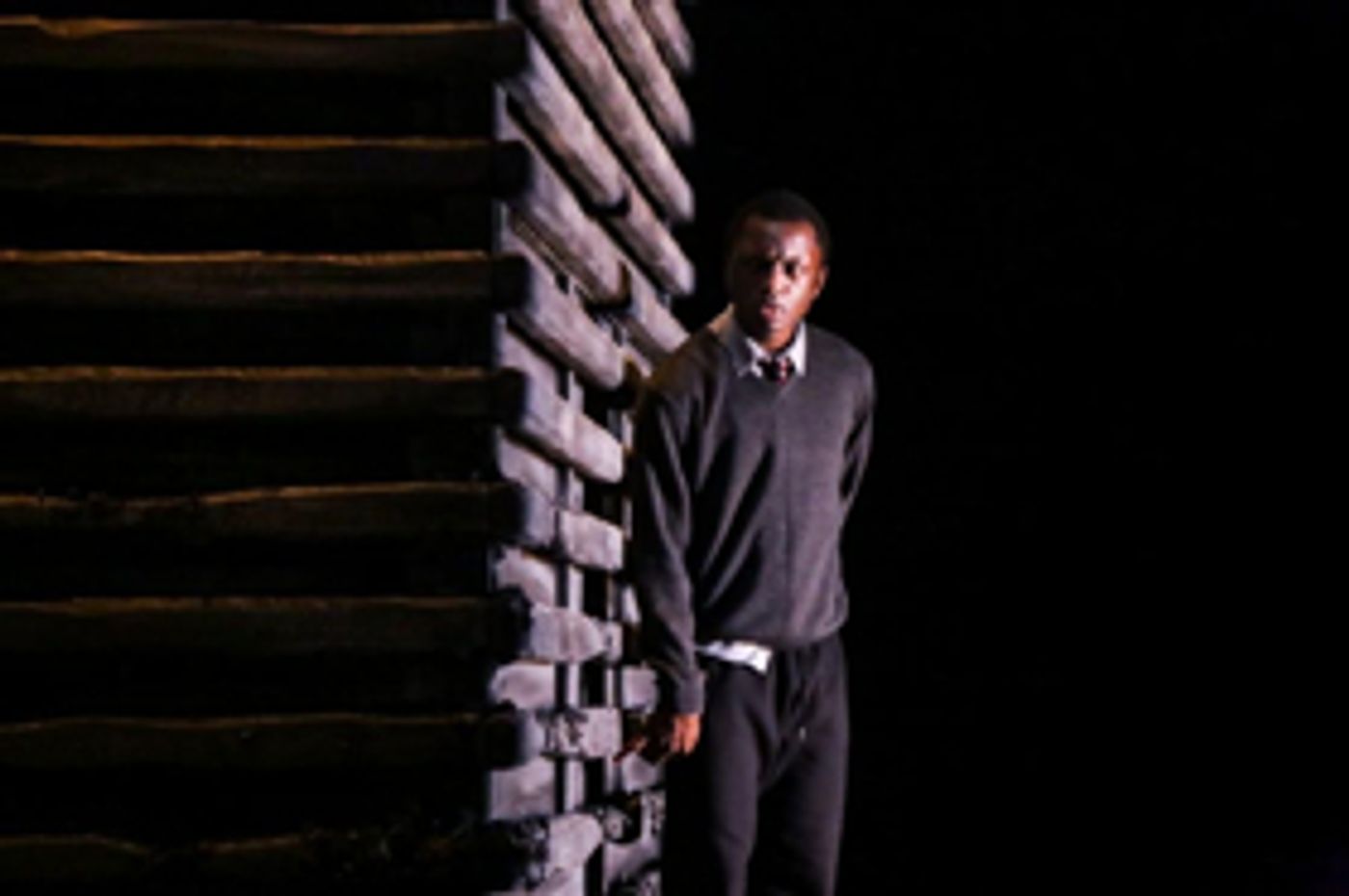 Interview: Natalie Ibu Talks GOOD DOG  Image