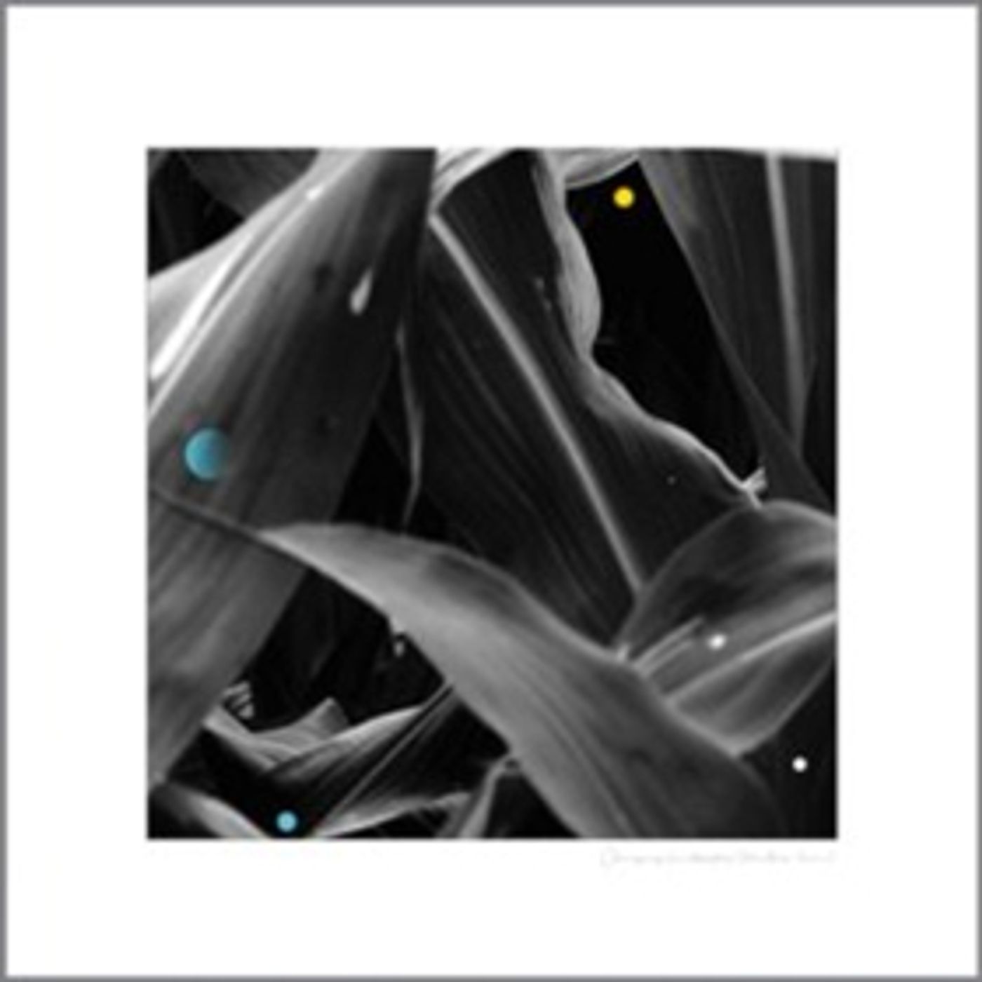 Arthur King's CHANGING LANDSCAPES (WAUTERS FARM) Out Today  Image