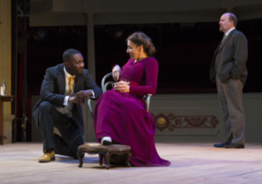 Review: THE CHERRY ORCHARD, Bristol Old Vic Image