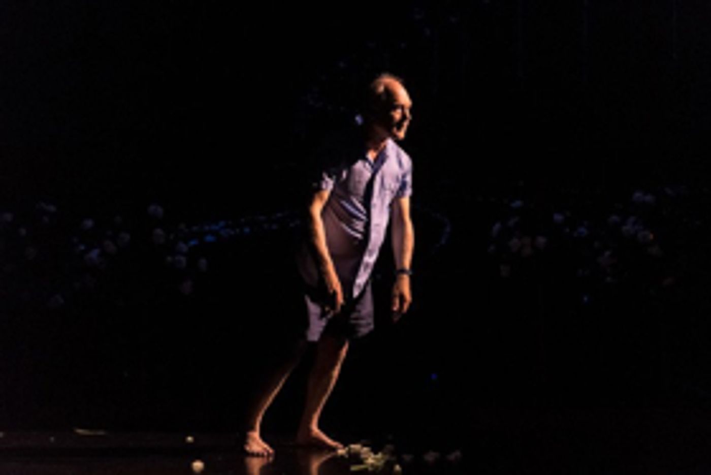 Review: THINGS I KNOW TO BE TRUE, Bristol Old Vic  Image