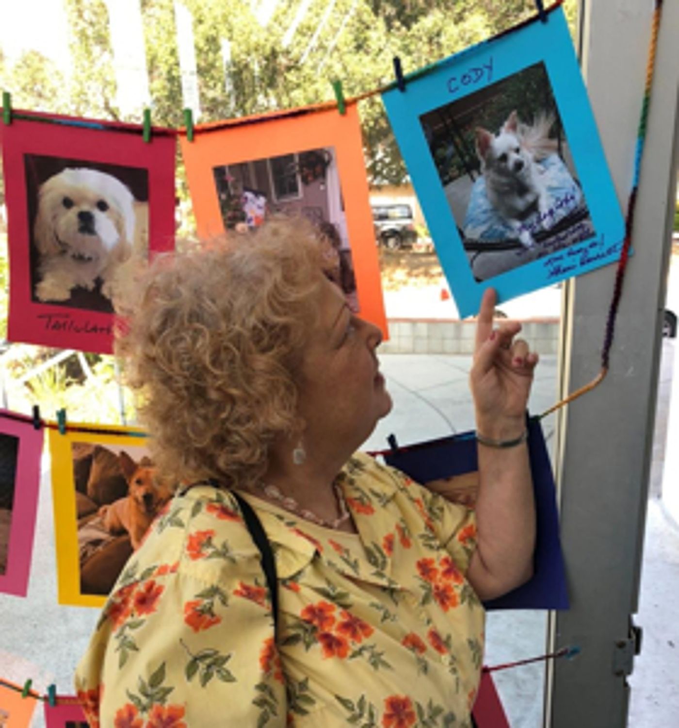 Review: BARK! The Musical is a Fabulous, Episodic Song Fest to the Glory of DOG  Image