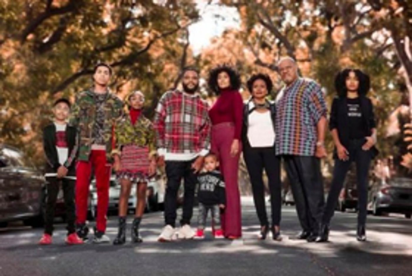 BLACK-ISH Renewed for Season Six, New Prequel Series MIXED-ISH Ordered  Image