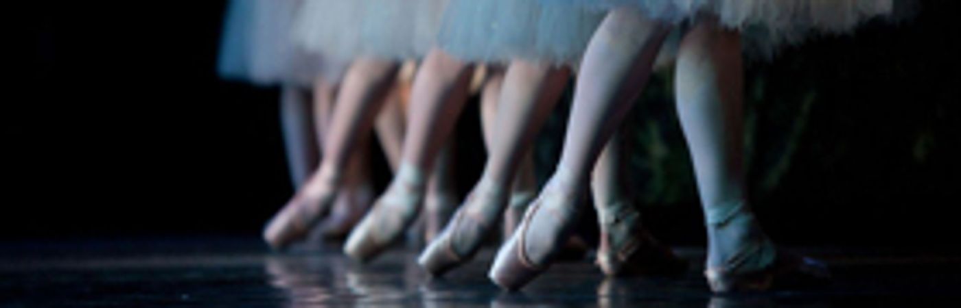 Ballet Arizona to Host 2018 DANCE WITH ME Gala This Winter  Image