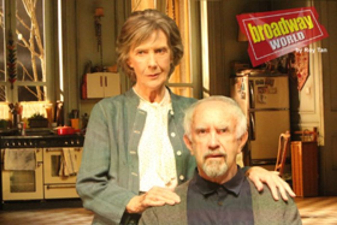 Rialto Chatter: Will Jonathan Pryce And Eileen Atkins Head To Broadway In THE HEIGHT OF THE STORM?  Image