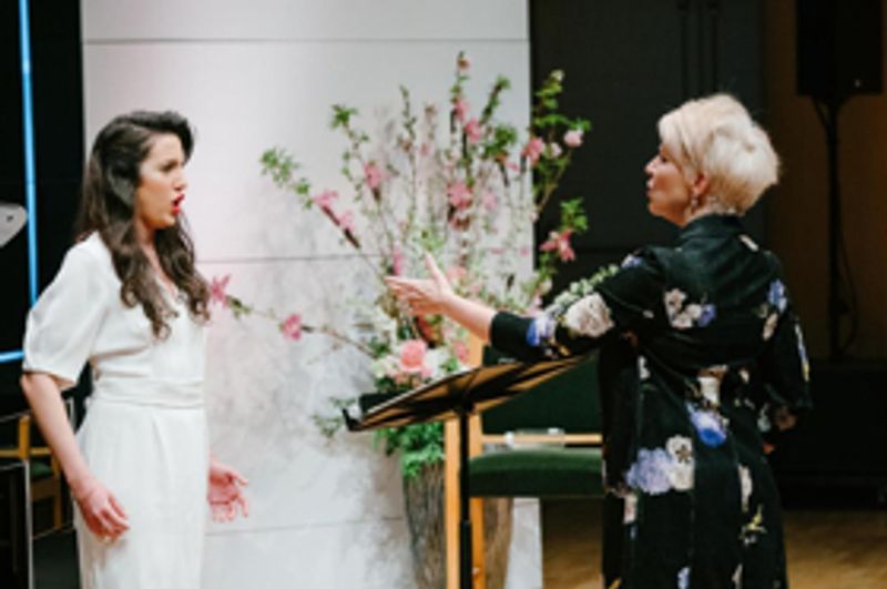 BWW Insight: Mezzo Joyce DiDonato Plays Fairy Godmother at Carnegie Hall Master Classes Image