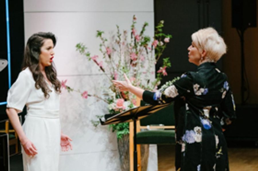 BWW Insight: Mezzo Joyce DiDonato Plays Fairy Godmother at Carnegie Hall Master Classes Image