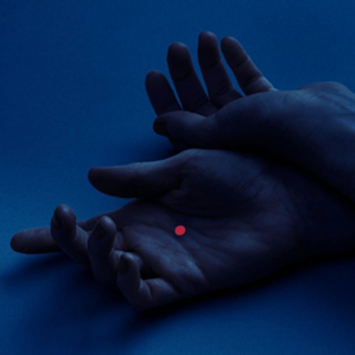 Post-Classical Pianist Jean-Michel Blais Shares New Track ROSES  Image