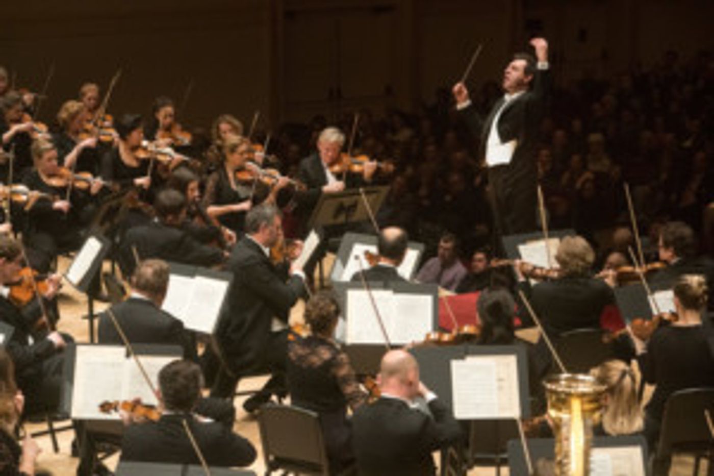 Review: ROYAL CONCERTGEBOUW Brings Wagner & Bruckner to Carnegie Hall Review: ROYAL CONCERTGEBOUW Brings Wagner & Bruckner to Carnegie Hall Image