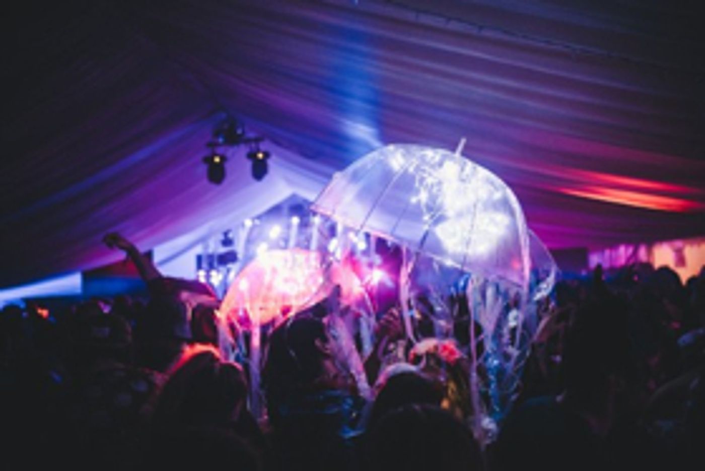 Roni Size Completes The Masked Ball's Lineup  Image