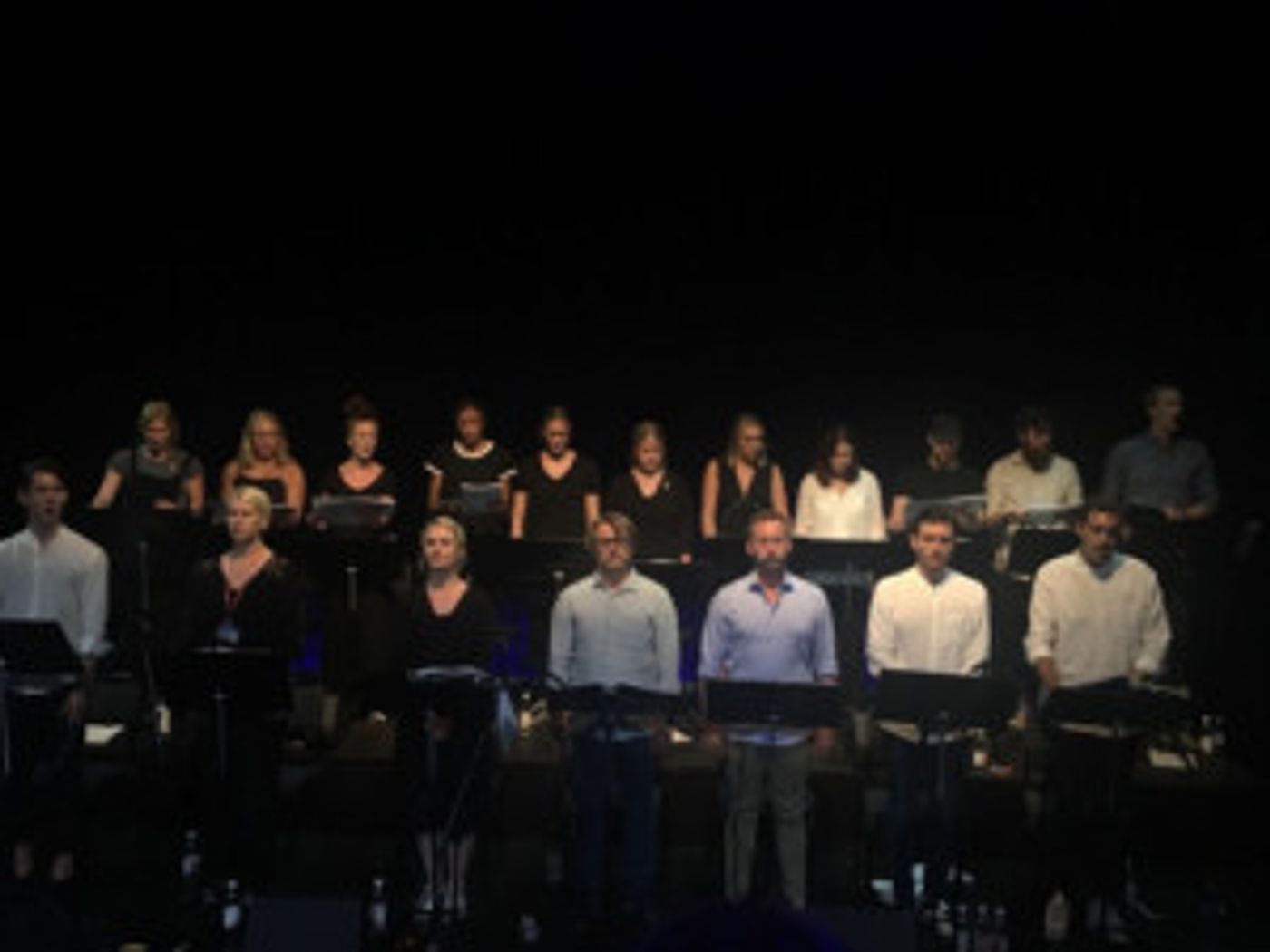 Review: RAOUL - THE MUSICAL ABOUT RAOUL WALLENBEG at Spira  Image