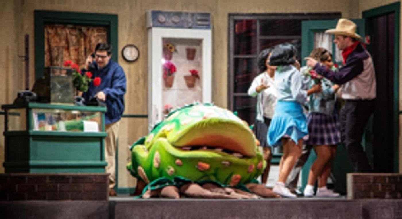 Review: BroadHollow Theatre Company's LITTLE SHOP OF HORRORS Review: BroadHollow Theatre Company's LITTLE SHOP OF HORRORS Image