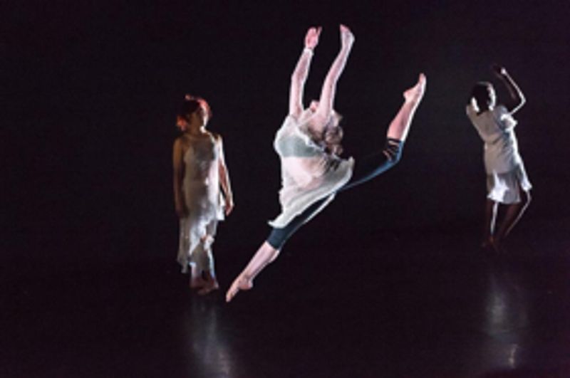 Baruch Performing Arts Center Presents Heidi Latsky Dance In The New York City Premiere Of D.I.S.P.L.A.Y.E.D. Image