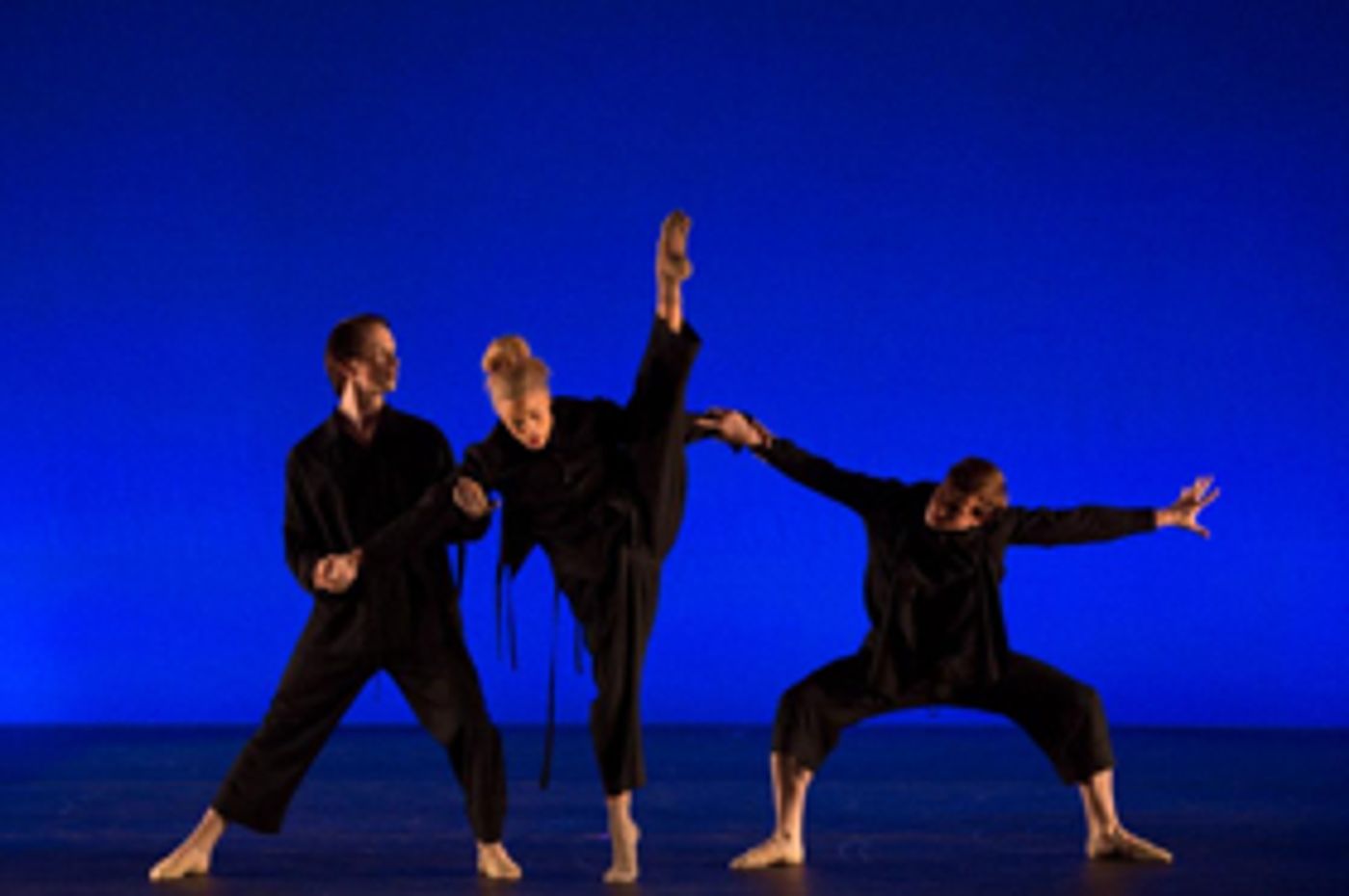 Hudson Valley Dance Festival Raises Record-Breaking Benefit for Dancers Responding to AIDS Image