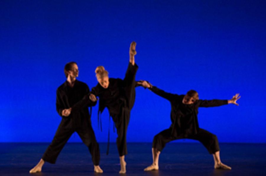 Hudson Valley Dance Festival Raises Record-Breaking Benefit for Dancers Responding to AIDS Image