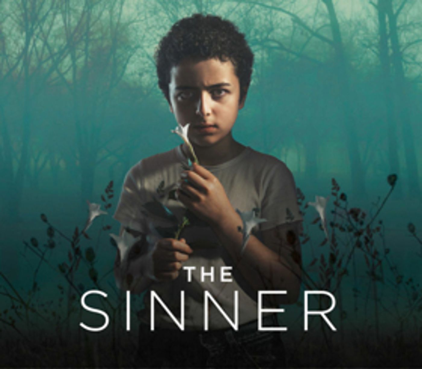 USA Network Renews SINNER for Third Season, Matt Bomer Joins Cast  Image