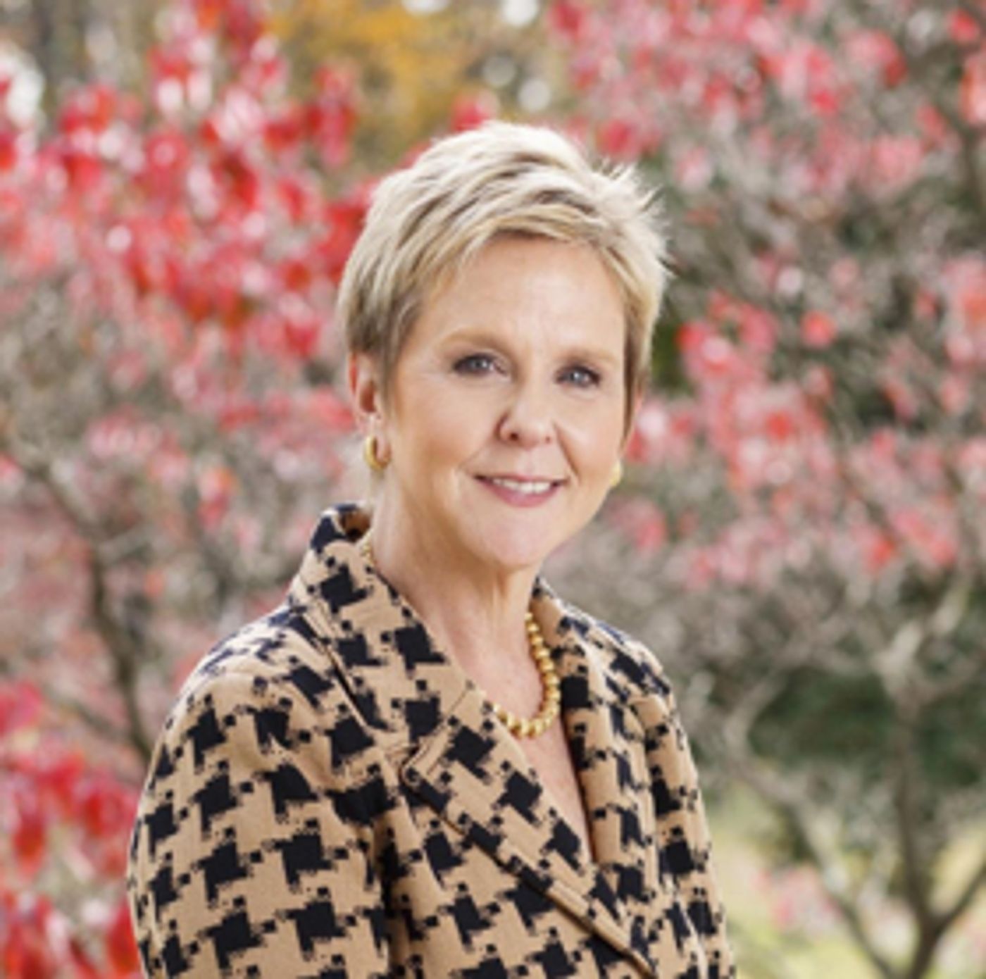 Metropolitan Ballet Company Welcomes New Board Members Metropolitan Ballet Company Welcomes New Board Members Image