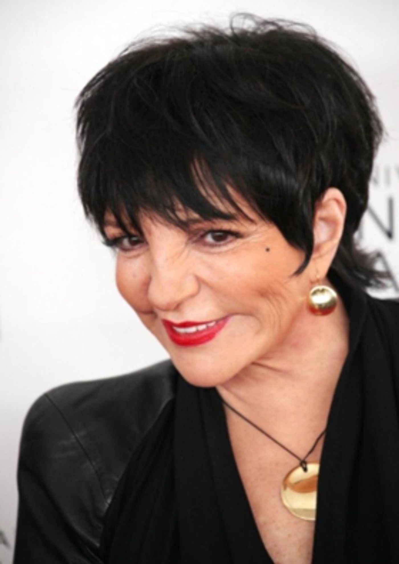 Judy Garland Musical CHASING RAINBOWS Gets the OK from Liza Minnelli Following Industry Presentation  Image