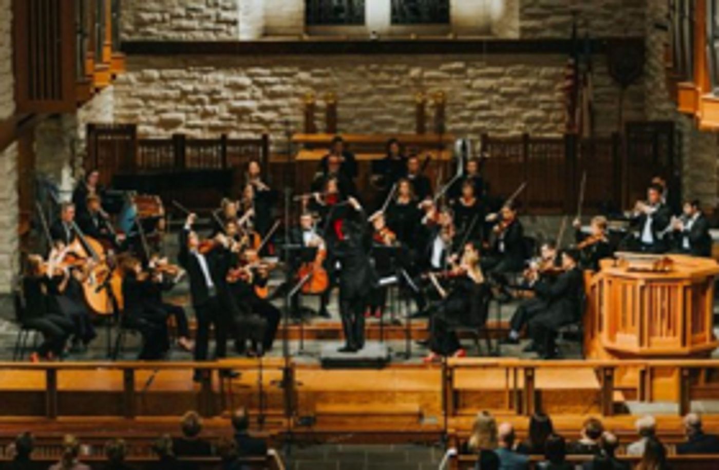 Conductor Mei-Ann Chen Announced As First Artistic Partner Of Houston's Trailblazing River Oaks Chamber Orchestra Beginning 2019-2020 Season  Image