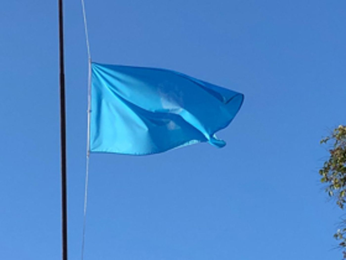 Partners and Events Announced Around Ai Weiwei's New Flag For Human Rights  Image