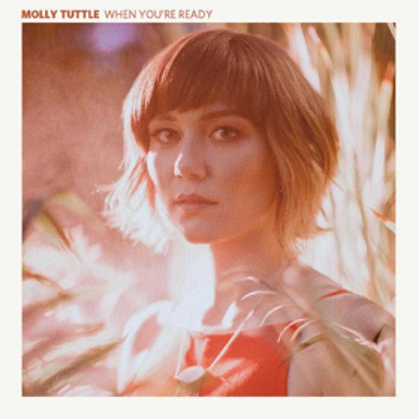 Molly Tuttle Shares Lead Single From Debut Album  Image