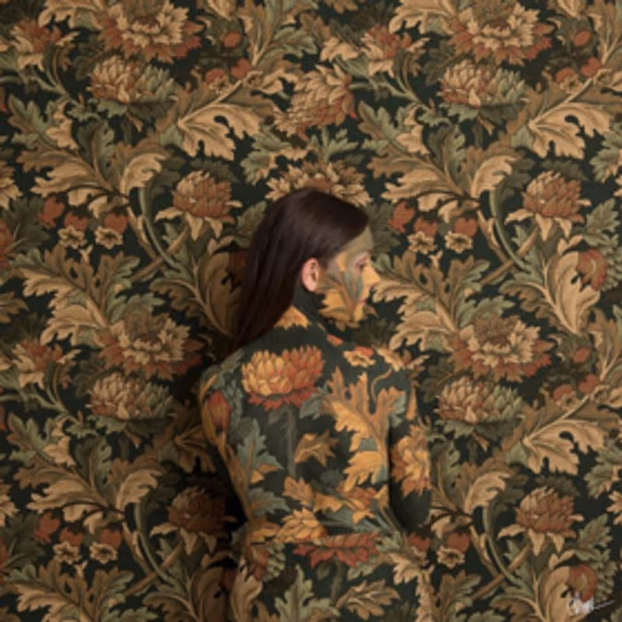 Honeyblood Announce Third Album 'In Plain Sight' Image