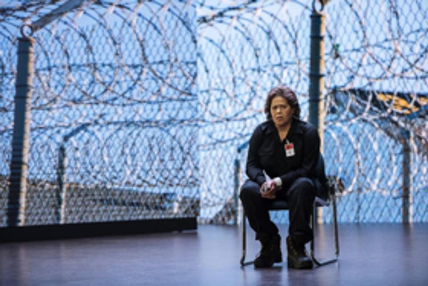 Tony-Nominated Actress & Playwright Anna Deavere Smith Brings NOTES FROM THE FIELD To HBO  Image
