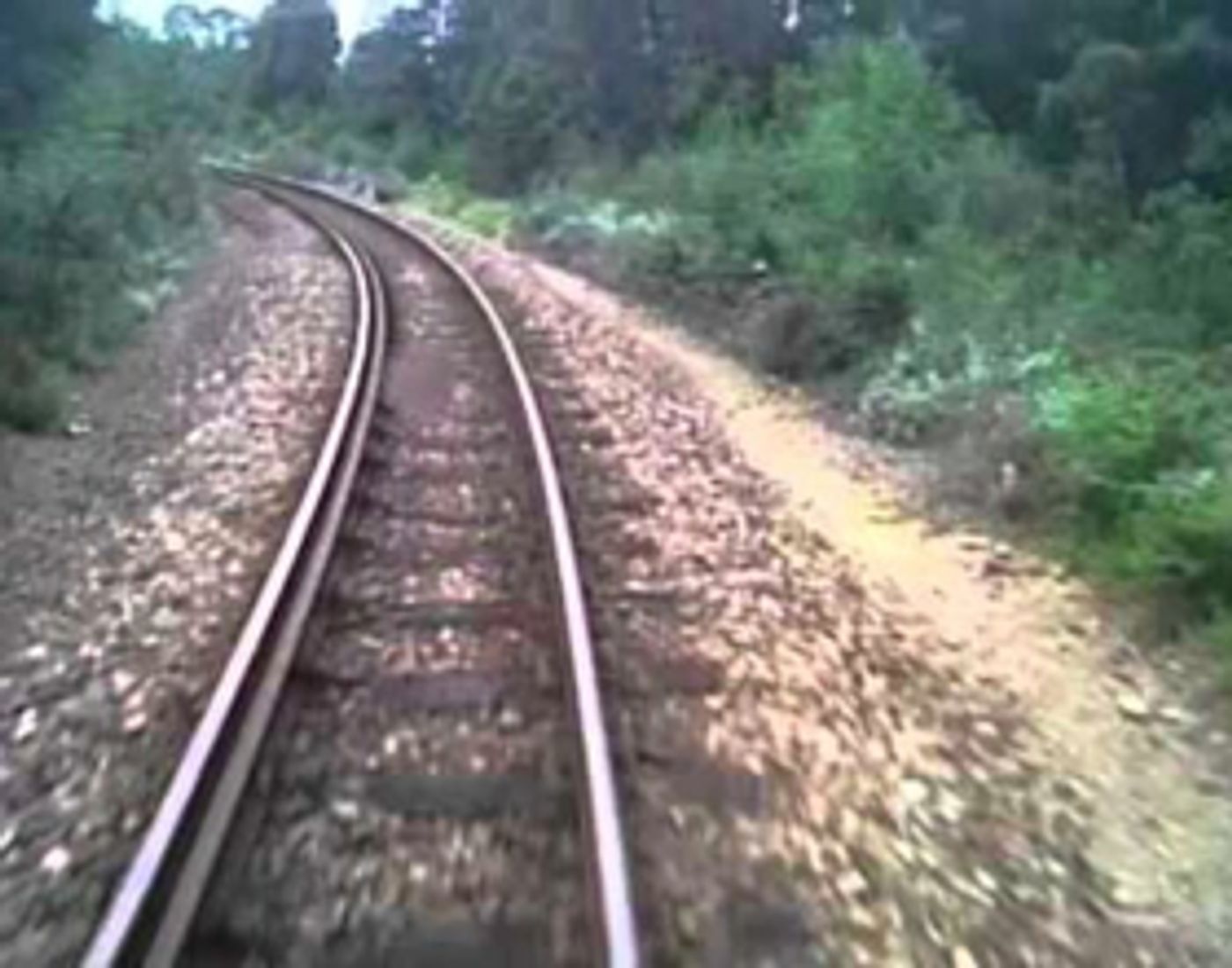 THE BUCKFEVER UNDERGROUND LIVE Comes to Alexander Upstairs  Image