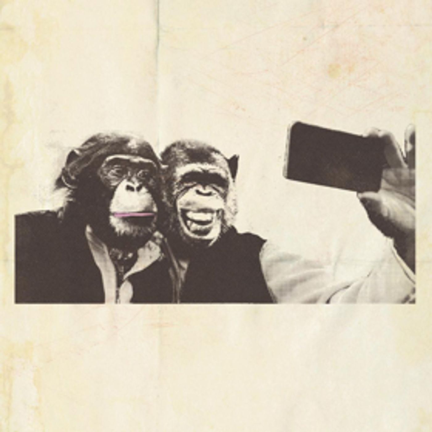 Crazy P Share THE WITNESS From Forthcoming May Release Crazy P Share THE WITNESS From Forthcoming May Release Image