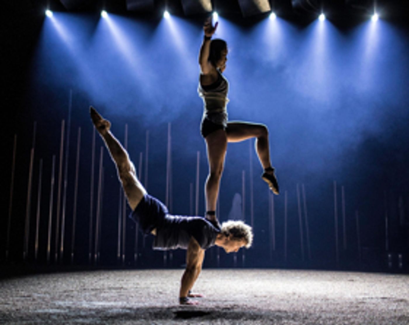 Gravity & Other Myths Bring BACKBONE To Edinburgh Fringe Gravity & Other Myths Bring BACKBONE To Edinburgh Fringe Image