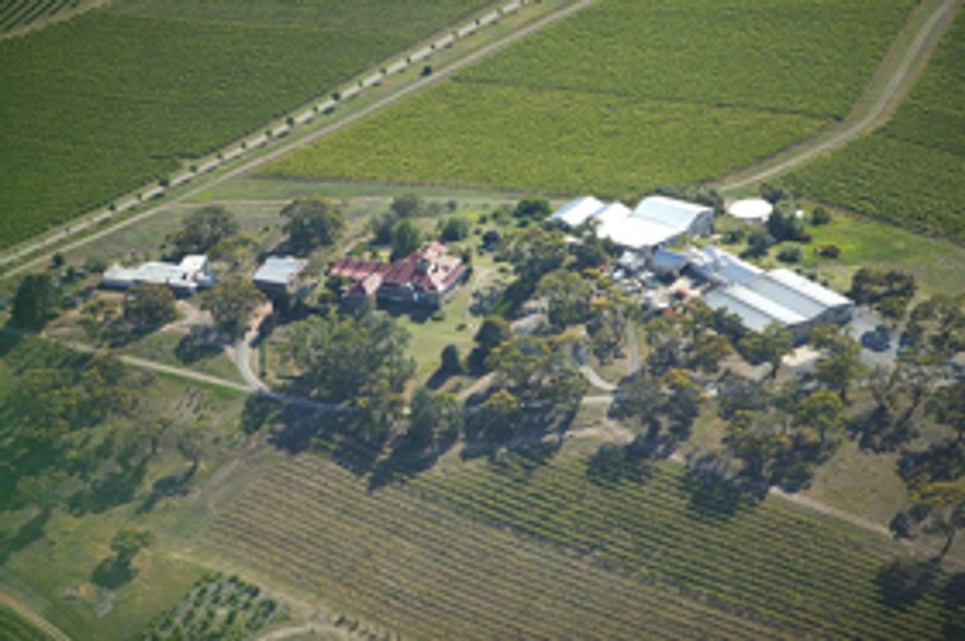 KAY BROTHERS for Distinctive Wines from Australia  Image