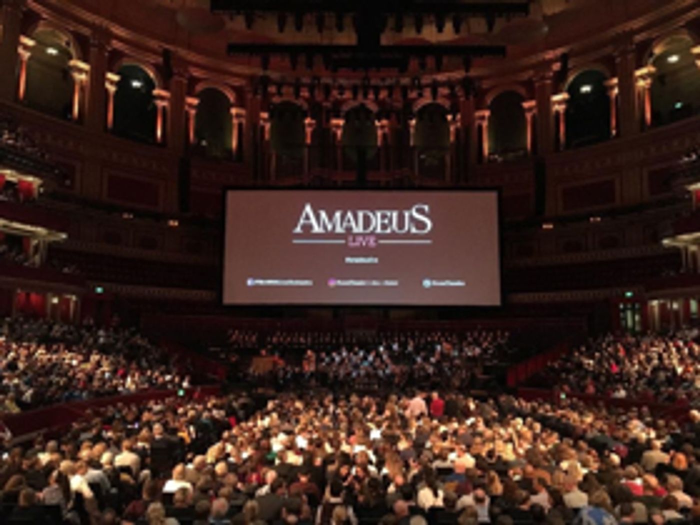 Review: AMADEUS LIVE, Royal Albert Hall Review: AMADEUS LIVE, Royal Albert Hall Image
