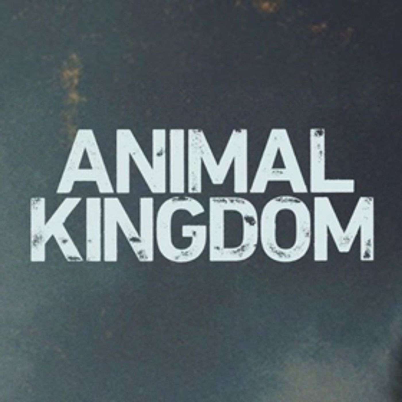 TNT's ANIMAL KINGDOM Adds Denis Leary For Third Season  Image