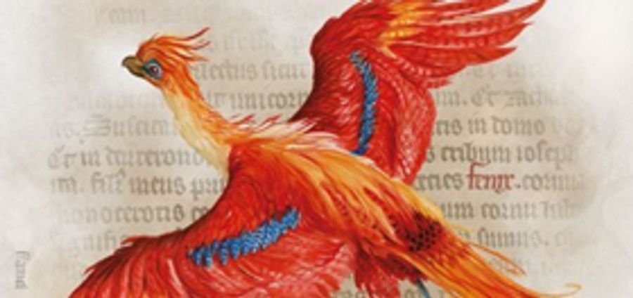Tickets on Sale 4/26 for New York Historical Society's HARRY POTTER: A HISTORY OF MAGIC Image